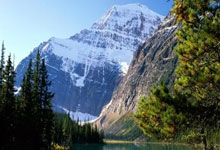 爱游戏体育-奥地利队横扫瑞典队，张继科高光表现