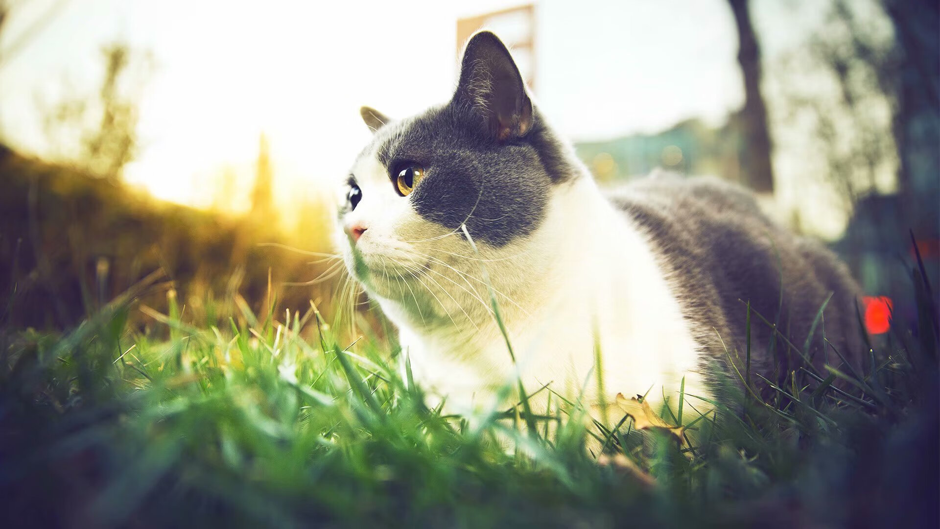 爱游戏tv-绝杀与三分雨，两个战场，一种竞技血脉