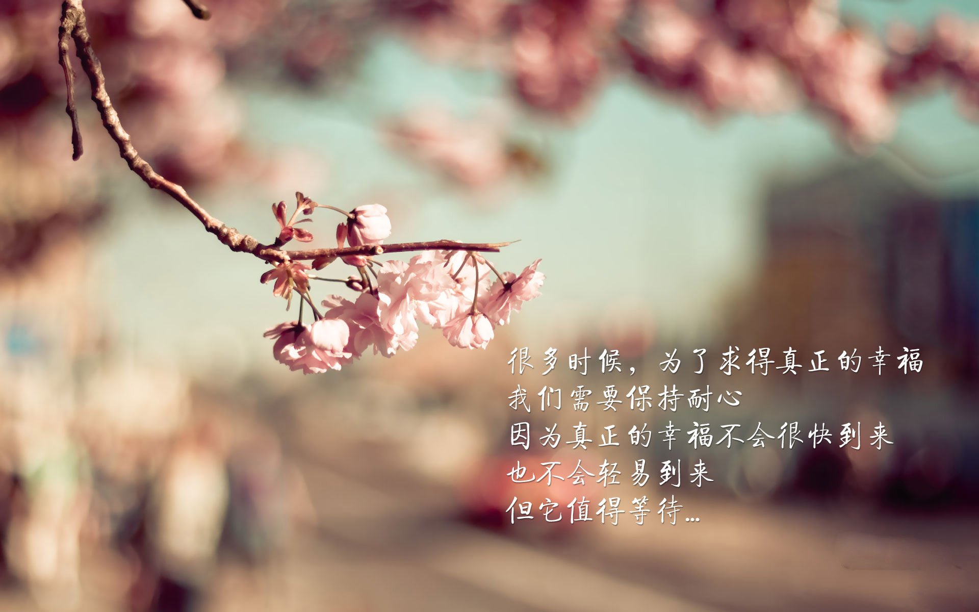 跨越时空的绝杀基因，葡萄牙的足球与张继科的乒乓