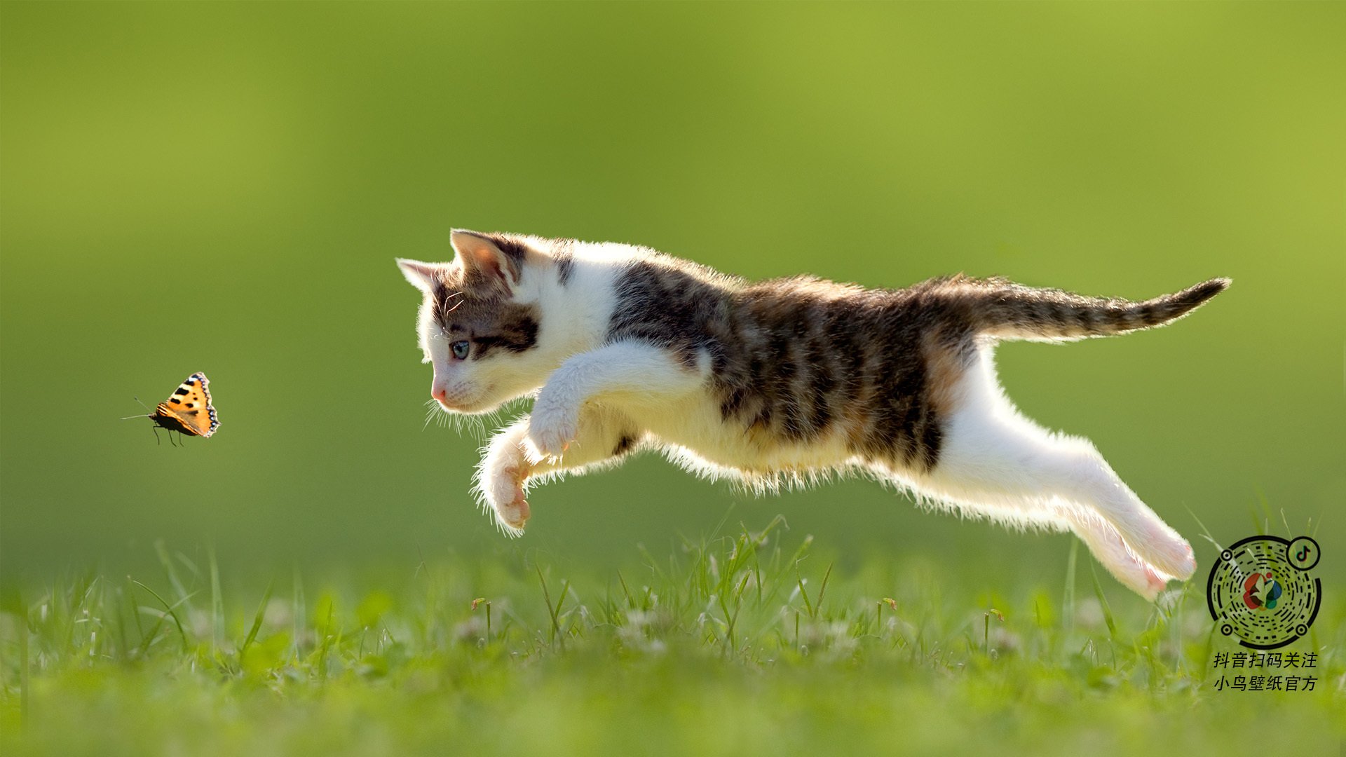 绝境反杀！张继科逆风扛鼎，中国队死里逃生险胜波兰