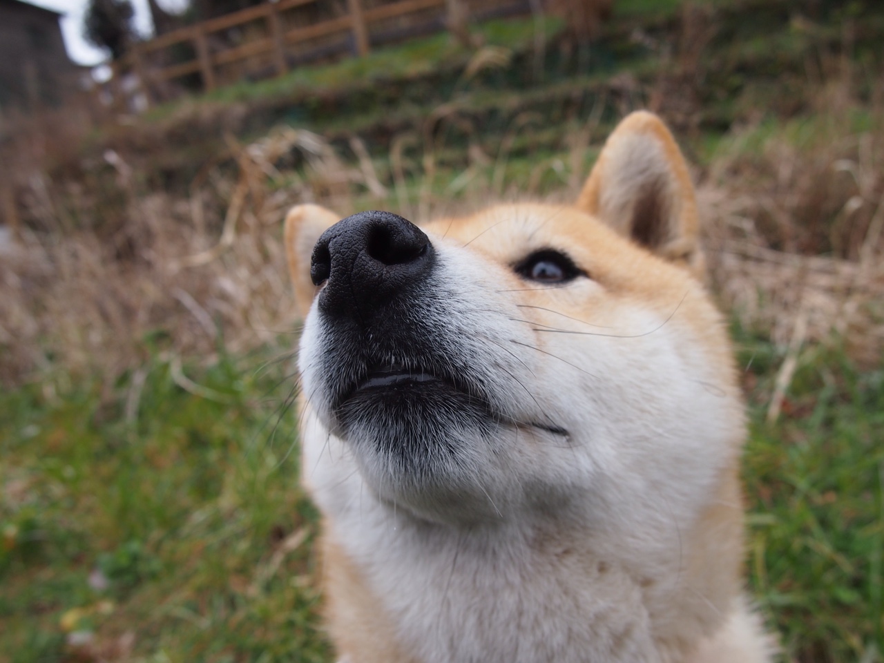 爱游戏官方入口-冰封的火星，40℃极光下，文班亚马如何用一记不可能的传球点燃冻土