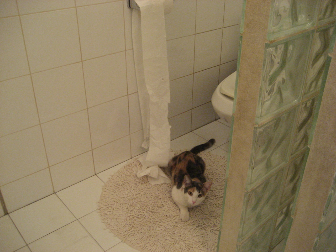 当辽宁队遇上老鹰，小贾伦的东方稳定能否重塑胜负天平？