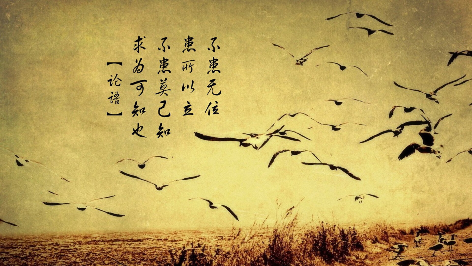 跨越战场的统治力，当火箭用防守绞杀马刺，米切尔在英超的关键球哲学