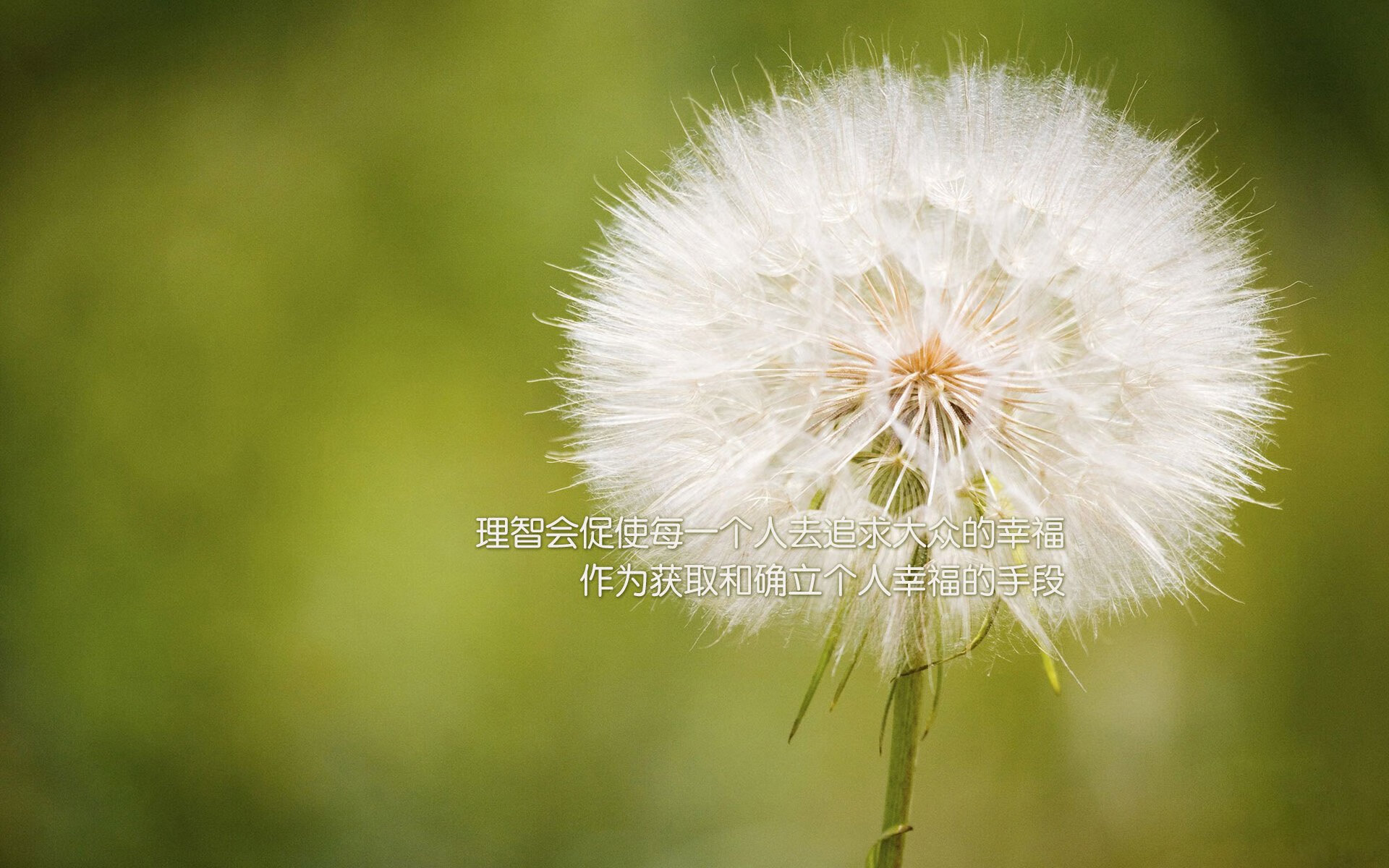 保罗圣火灼穿三晋,菲尼克斯铁军踏破山西,当个人英雄主义完美嵌入胜利齿轮