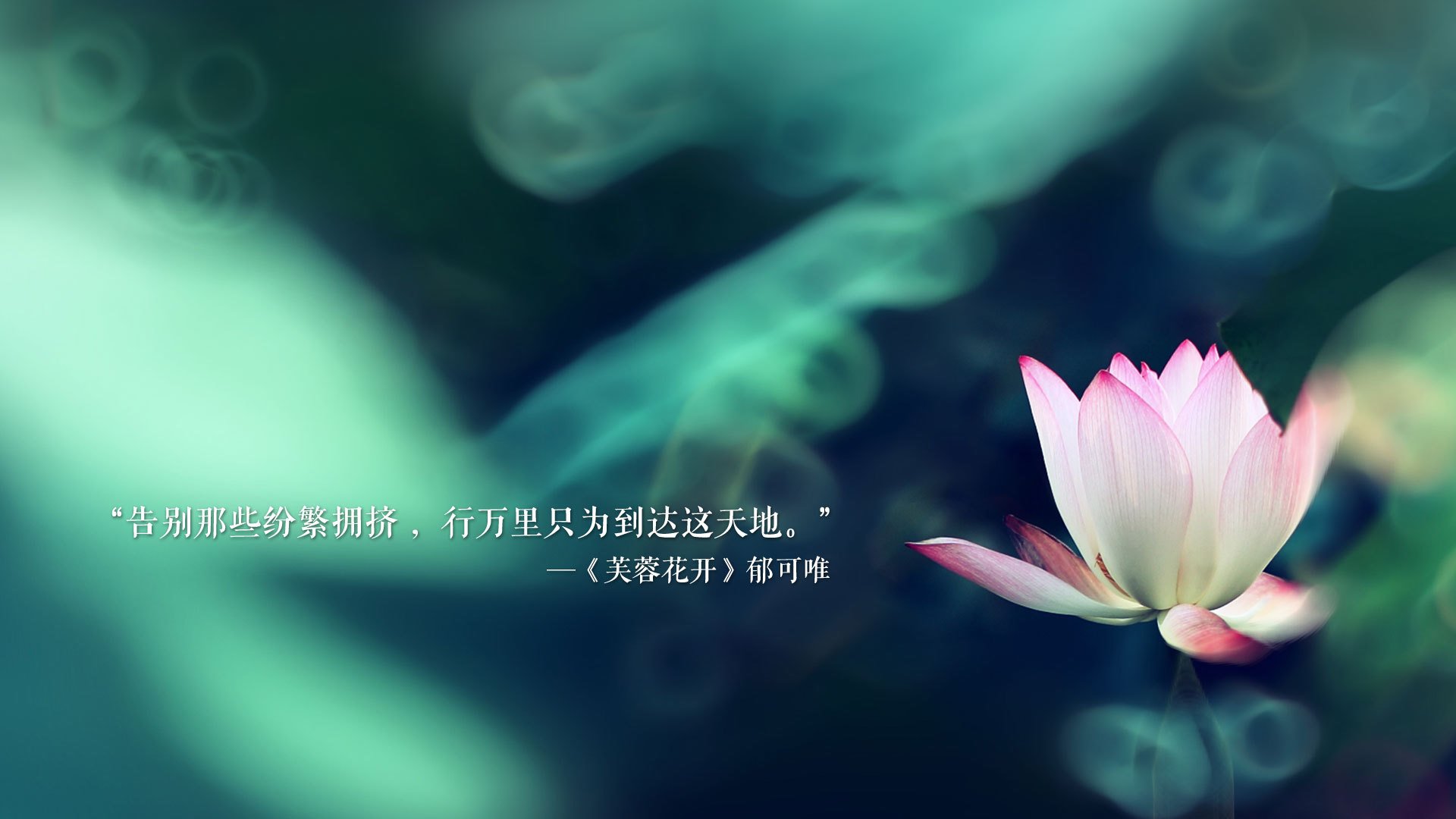 桑巴之魂的反击,2026世界杯,佩德里导演的史诗逆转,尼日利亚梦碎豪门对决